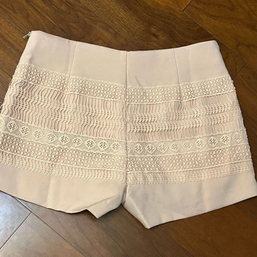 Pink lace‎ shorts size medium Endless Rose